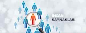 İnsan Kaynakları